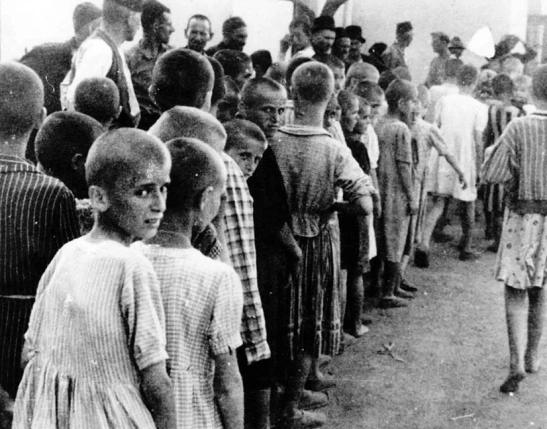 јасеновац-1